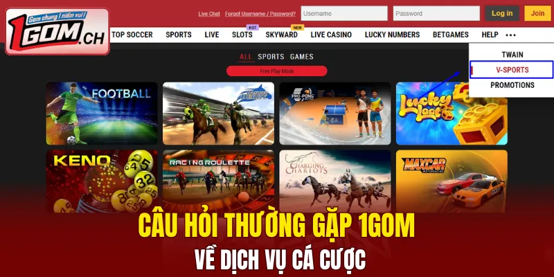 Câu Hỏi Thường Gặp 1GOM Về Dịch Vụ Cược Online Uy Tín 5 Câu hỏi thường gặp 1GOM về dịch vụ cá cược