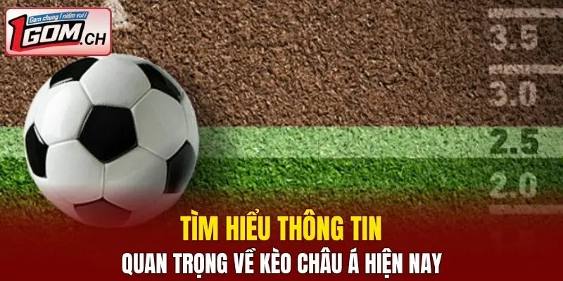 Kèo Nhà Cái World Cup - Sận Chơi Hot Mùa Hè Nhất 2025 6 Tìm hiểu thông tin chi tiết về tỷ lệ cược chấp là gì?
