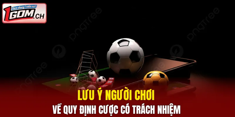 Chơi có trách nhiệm 1GOM - Bảo Vệ An Toàn Khi Cá Cược 6 Lưu ý người chơi về quy định cược có trách nhiệm