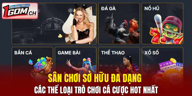 Hi88 – Nhà Cái Giải Trí Trực Tuyến Cực Hot Hiện Nay 7 Sân chơi sở hữu đa dạng các thể loại trò chơi cá cược hot nhất